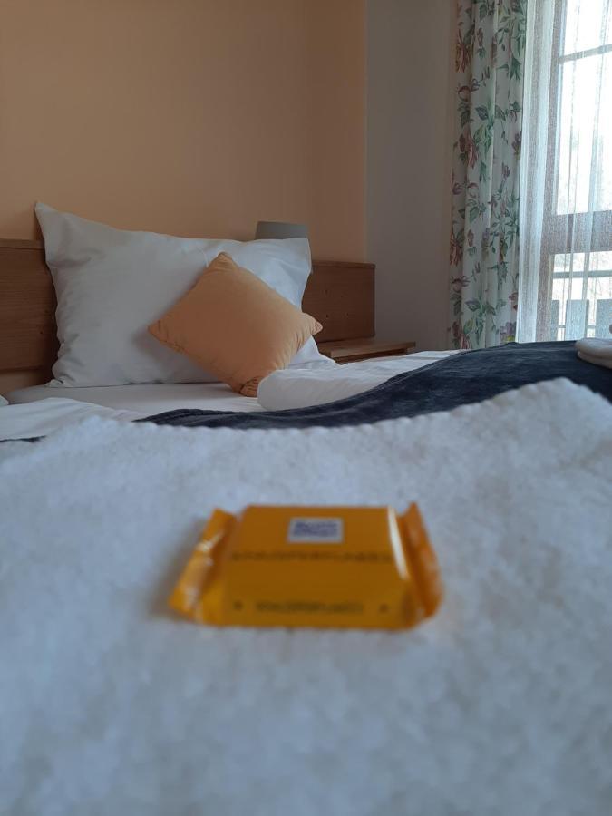 Hotel Landgasthof Frankenstern غوسوينستين المظهر الخارجي الصورة