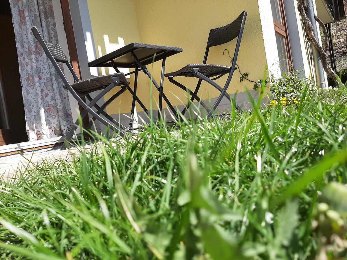 Hotel Landgasthof Frankenstern غوسوينستين المظهر الخارجي الصورة