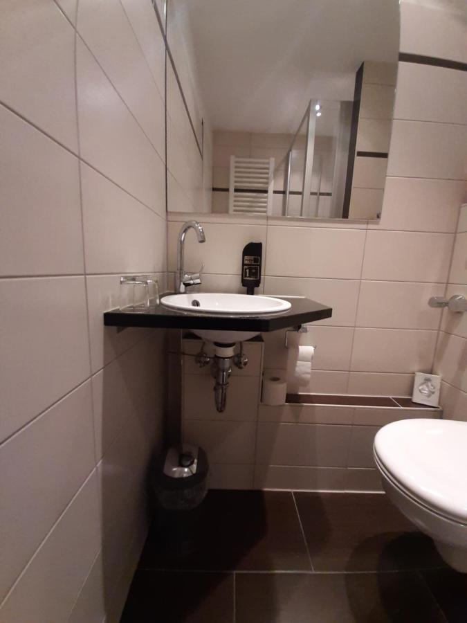 Hotel Landgasthof Frankenstern غوسوينستين المظهر الخارجي الصورة