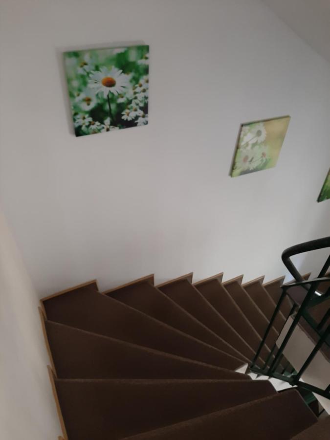Hotel Landgasthof Frankenstern غوسوينستين المظهر الخارجي الصورة