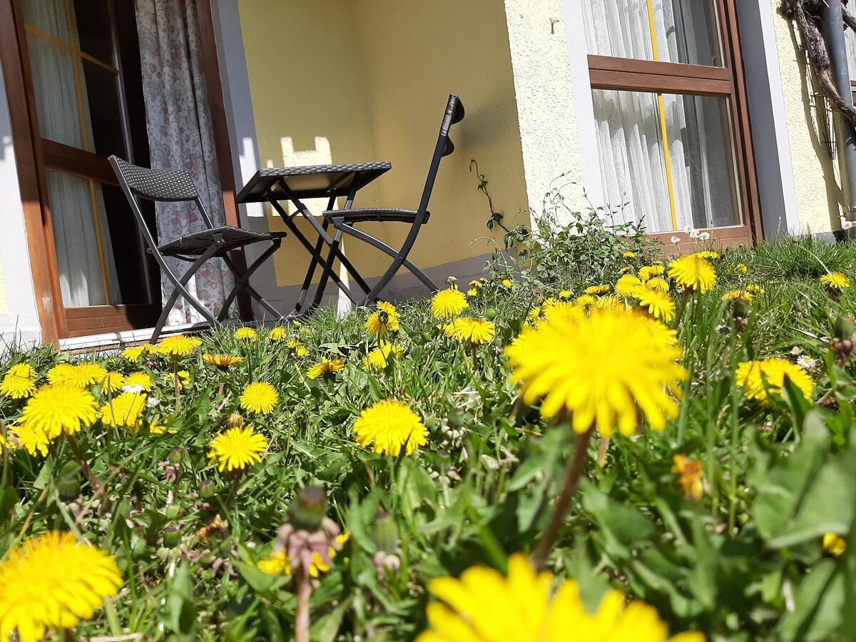 Hotel Landgasthof Frankenstern غوسوينستين المظهر الخارجي الصورة